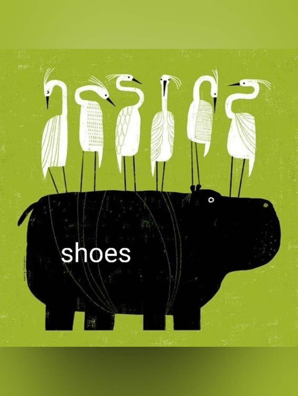 Shoes - Picture 1 of 1